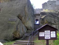 Resize of Talpa 013.jpg